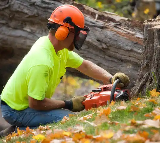 tree services Kirtland